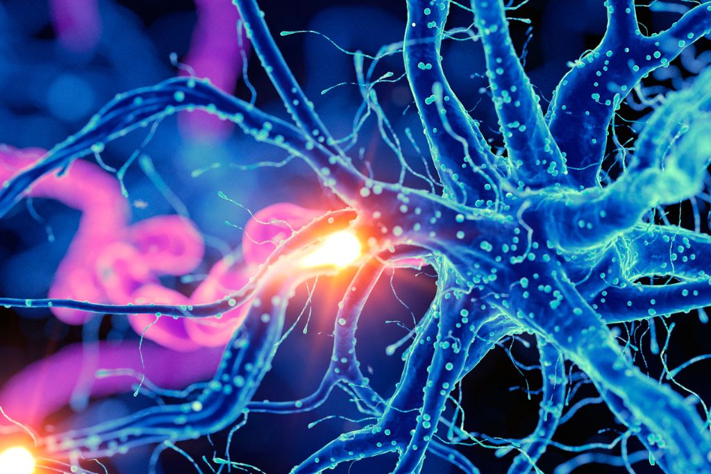 Neurological Conditions